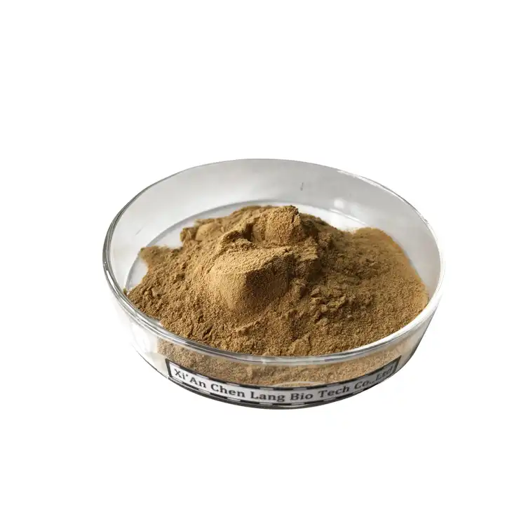Phellinus Linteus Extract Powder
